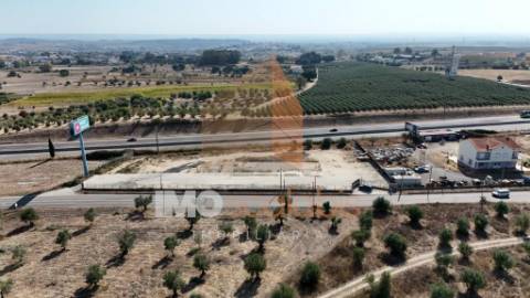 Arrendamento de Terreno Vedado – 4.772 m² – EN3, Póvoa de Santarém