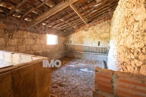 Moradia T3 Independente próxima de Santarém