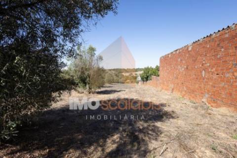 Moradia T3 Independente próxima de Santarém