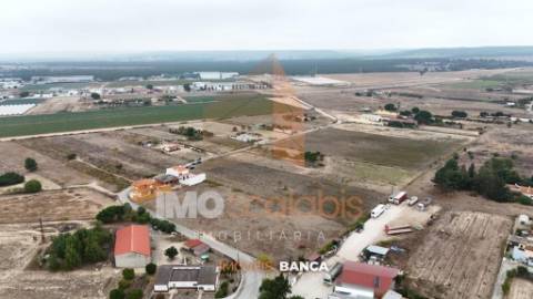 Lote 1 — Terreno Urbano em Alpiarça (969 m²)