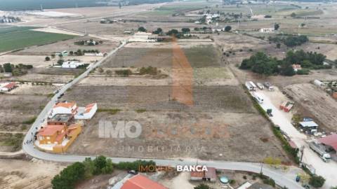 Lote 2 — Terreno Urbano em Alpiarça (825 m²)