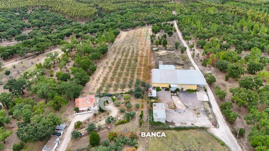 Oportunidade de investimento no Ribatejo – armazém com excelente preço e grande potencial!