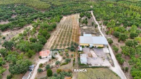 Oportunidade de investimento no Ribatejo – armazém com excelente preço e grande potencial!