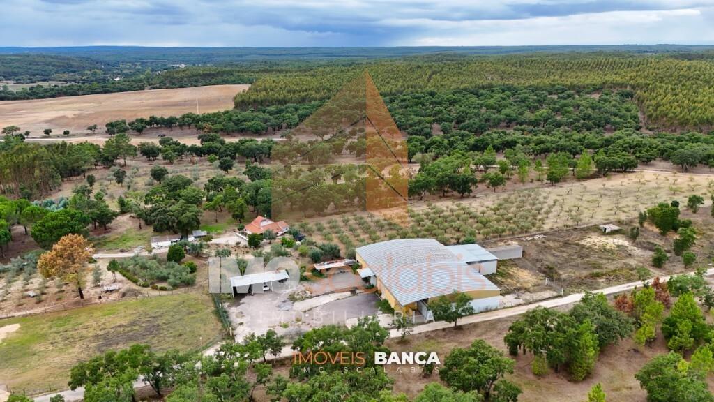 Oportunidade de investimento no Ribatejo – armazém com excelente preço e grande potencial!