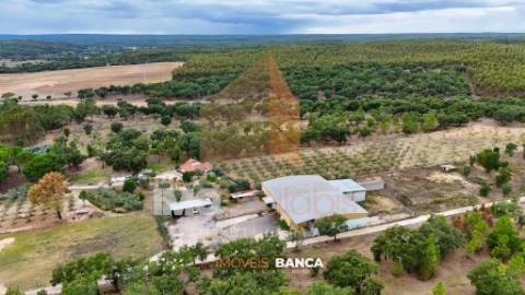 Oportunidade de investimento no Ribatejo – armazém com excelente preço e grande potencial!