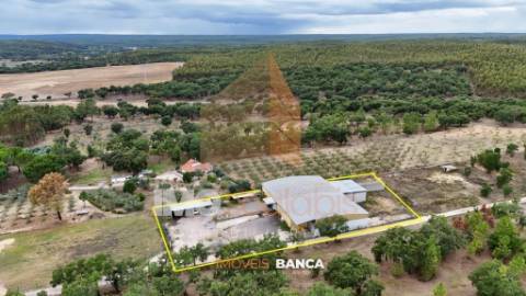 Oportunidade de investimento no Ribatejo – armazém com excelente preço e grande potencial!