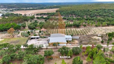 Oportunidade de investimento no Ribatejo – armazém com excelente preço e grande potencial!