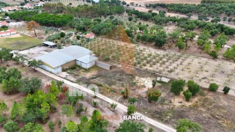 Oportunidade de investimento no Ribatejo – armazém com excelente preço e grande potencial!