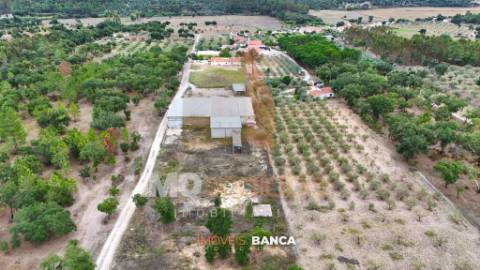 Oportunidade de investimento no Ribatejo – armazém com excelente preço e grande potencial!