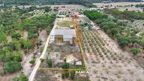 Oportunidade de investimento no Ribatejo – armazém com excelente preço e grande potencial!