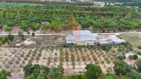 Oportunidade de investimento no Ribatejo – armazém com excelente preço e grande potencial!