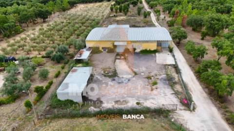 Oportunidade de investimento no Ribatejo – armazém com excelente preço e grande potencial!