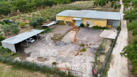 Oportunidade de investimento no Ribatejo – armazém com excelente preço e grande potencial!