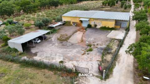 Oportunidade de investimento no Ribatejo – armazém com excelente preço e grande potencial!