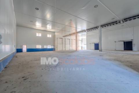 Armazéns Industriais – Zona Industrial de Alpiarça