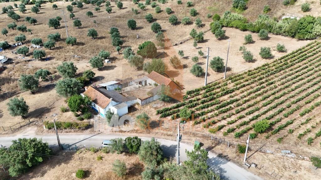 Moradia T3 para Reabilitação em Calhariz – Rio Maior