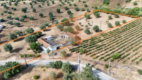 Moradia T3 para Reabilitação em Calhariz – Rio Maior