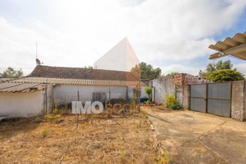 Moradia T3 para Reabilitação em Calhariz – Rio Maior