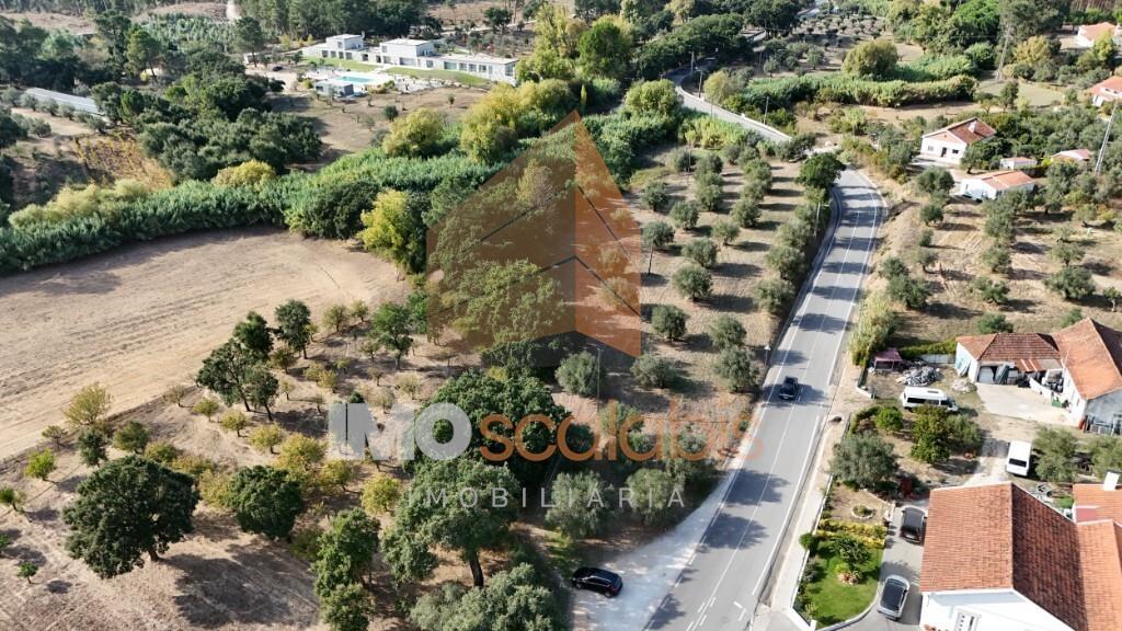 Terreno Rústico – Aldeia da Ribeira 