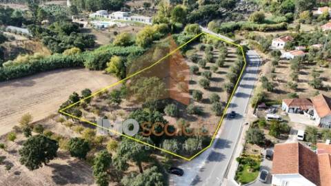 Terreno Rústico – Aldeia da Ribeira 