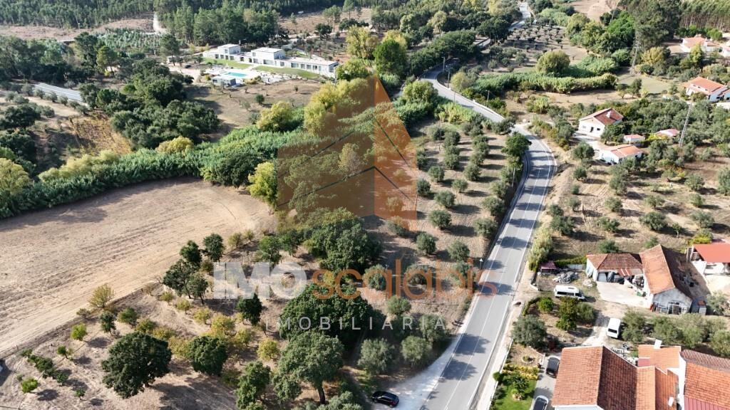 Terreno Rústico – Aldeia da Ribeira 
