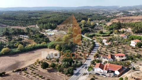 Terreno Rústico – Aldeia da Ribeira 