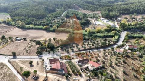 Terreno Rústico – Aldeia da Ribeira 