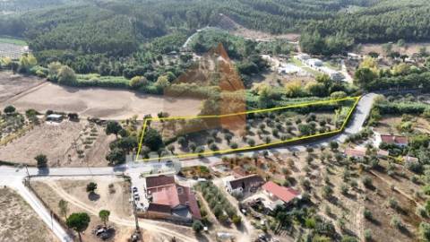 Terreno Rústico – Aldeia da Ribeira 