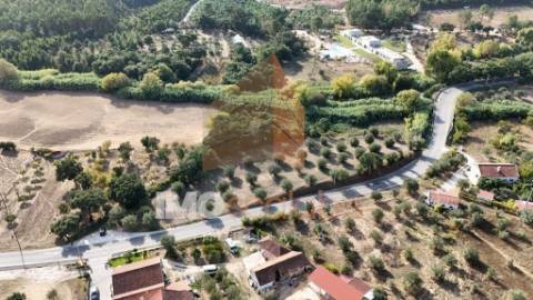 Terreno Rústico – Aldeia da Ribeira 