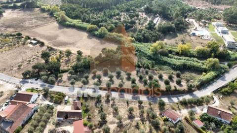 Terreno Rústico – Aldeia da Ribeira 