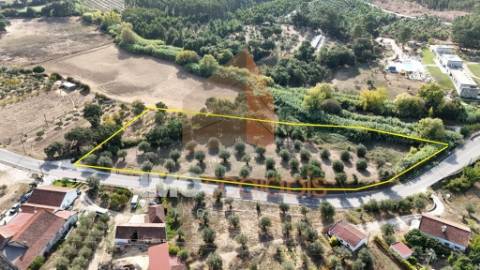 Terreno Rústico – Aldeia da Ribeira 