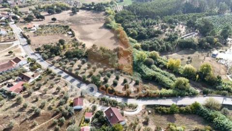 Terreno Rústico – Aldeia da Ribeira 
