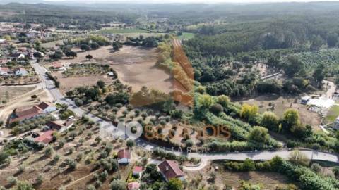 Terreno Rústico – Aldeia da Ribeira 