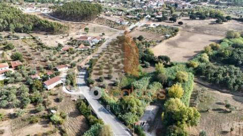 Terreno Rústico – Aldeia da Ribeira 