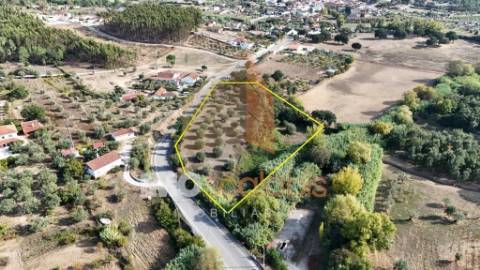 Terreno Rústico – Aldeia da Ribeira 