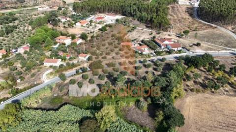 Terreno Rústico – Aldeia da Ribeira 