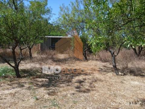 Terreno murado e vedado