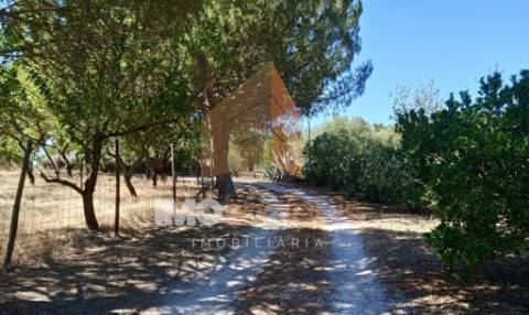 Terreno murado e vedado