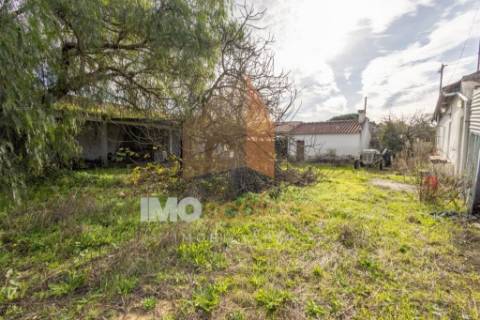 Lote de Terreno para construção 5.360m² em Santarém