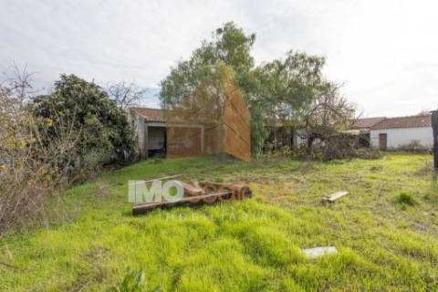 Lote de Terreno para construção 5.360m² em Santarém