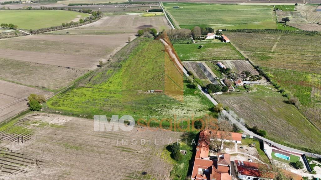 Terreno Agrícola de Excelência com 4,58 Ha em Alpiarça – Alta Produtividade
