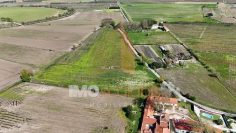 Terreno Agrícola de Excelência com 4,58 Ha em Alpiarça – Alta Produtividade