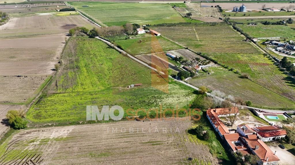 Terreno Agrícola de Excelência com 4,58 Ha em Alpiarça – Alta Produtividade