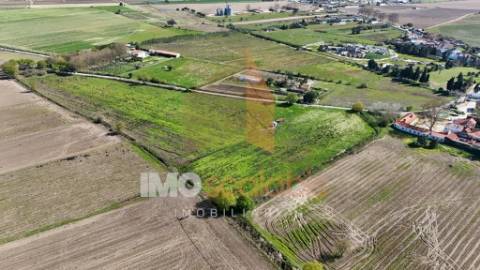 Terreno Agrícola de Excelência com 4,58 Ha em Alpiarça – Alta Produtividade