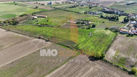 Terreno Agrícola de Excelência com 4,58 Ha em Alpiarça – Alta Produtividade