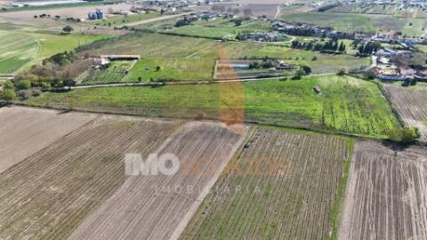 Terreno Agrícola de Excelência com 4,58 Ha em Alpiarça – Alta Produtividade