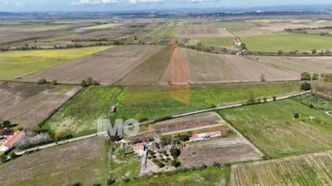 Terreno Agrícola de Excelência com 4,58 Ha em Alpiarça – Alta Produtividade