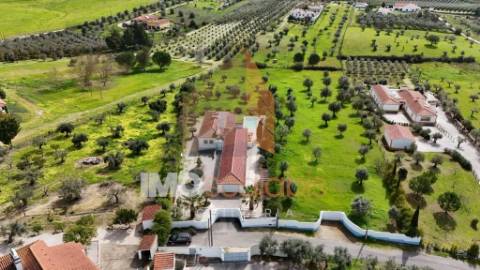 Moradia de Charme T4 com Piscina, Anexo Independente | Torre do Bispo – Santarém