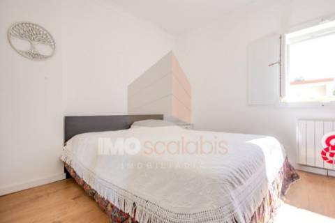 Herdade em Almeirim com 139 Hectares | Propriedade Agroflorestal no Ribatejo