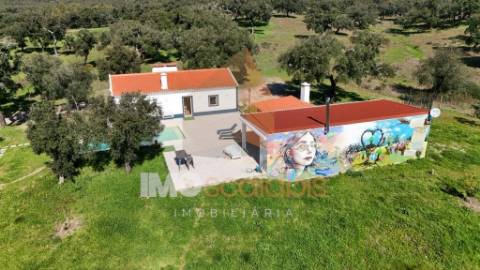 Herdade em Almeirim com 139 Hectares | Propriedade Agroflorestal no Ribatejo